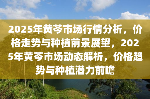 2025年黃芩市場行情分析，價格走勢與種植前景展望，2025年黃芩市場動態(tài)解析，價格趨勢與種植潛力前瞻