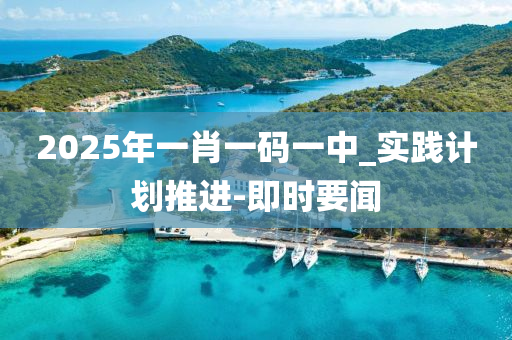2025年一肖一碼一中_實(shí)踐計(jì)劃推進(jìn)-即時(shí)要聞