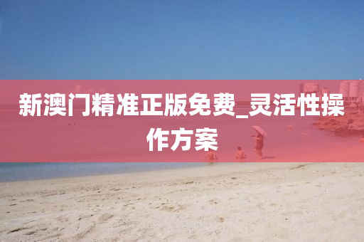 新澳門精準(zhǔn)正版免費_靈活性操作方案