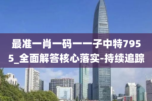 最準(zhǔn)一肖一碼一一子中特7955_全面解答核心落實-持續(xù)追蹤