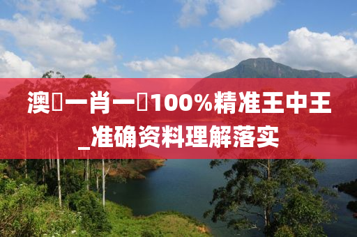 澳門一肖一碼100%精準王中王_準確資料理解落實