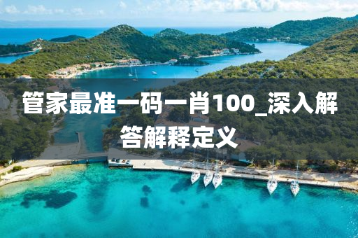 管家最準(zhǔn)一碼一肖100_深入解答解釋定義
