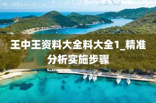 王中王資料大全料大全1_精準分析實施步驟