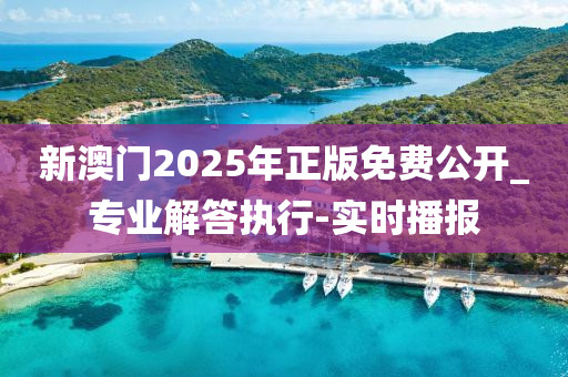 新澳門2025年正版免費公開_專業(yè)解答執(zhí)行-實時播報