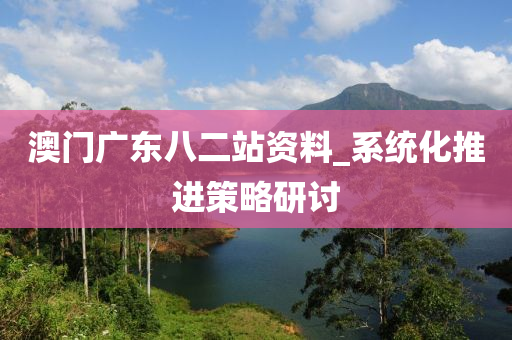 澳門廣東八二站資料_系統(tǒng)化推進(jìn)策略研討