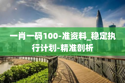一肖一碼100-準(zhǔn)資料_穩(wěn)定執(zhí)行計劃-精準(zhǔn)剖析