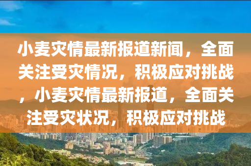 小麥災(zāi)情最新報(bào)道新聞，全面關(guān)注受災(zāi)情況，積極應(yīng)對(duì)挑戰(zhàn)，小麥災(zāi)情最新報(bào)道，全面關(guān)注受災(zāi)狀況，積極應(yīng)對(duì)挑戰(zhàn)