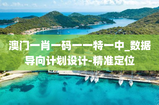 澳門(mén)一肖一碼一一特一中_數(shù)據(jù)導(dǎo)向計(jì)劃設(shè)計(jì)-精準(zhǔn)定位
