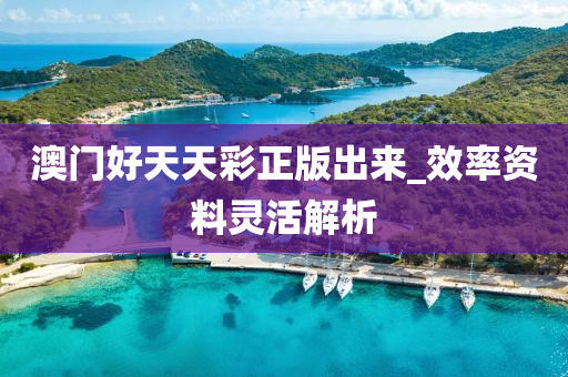 澳門好天天彩正版出來_效率資料靈活解析