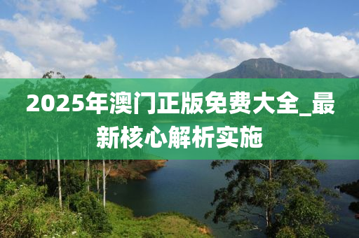 2025年澳門正版免費大全_最新核心解析實施