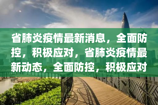 省肺炎疫情最新消息，全面防控，積極應(yīng)對，省肺炎疫情最新動態(tài)，全面防控，積極應(yīng)對
