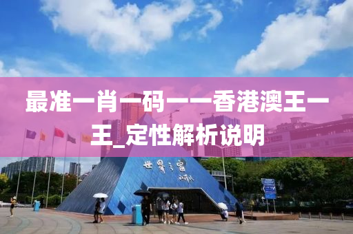 最準一肖一碼一一香港澳王一王_定性解析說明