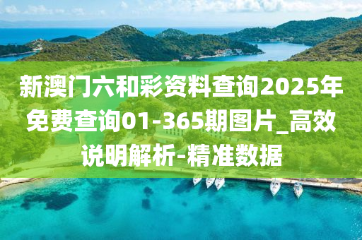 新澳門(mén)六和彩資料查詢2025年免費(fèi)查詢01-365期圖片_高效說(shuō)明解析-精準(zhǔn)數(shù)據(jù)