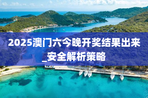 2025澳門六今晚開獎結(jié)果出來_安全解析策略