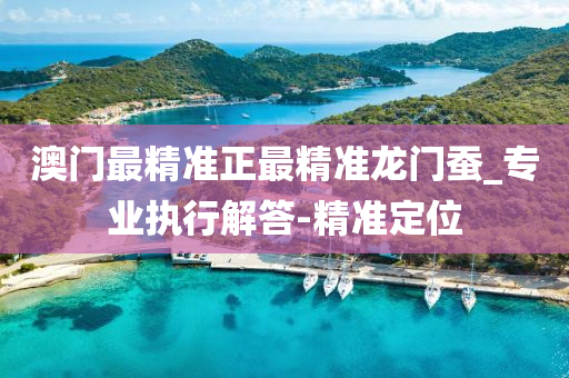澳門最精準正最精準龍門蠶_專業(yè)執(zhí)行解答-精準定位