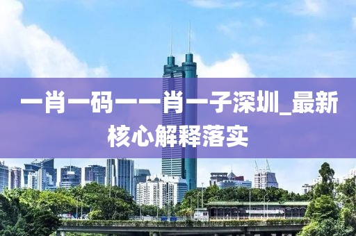 一肖一碼一一肖一子深圳_最新核心解釋落實