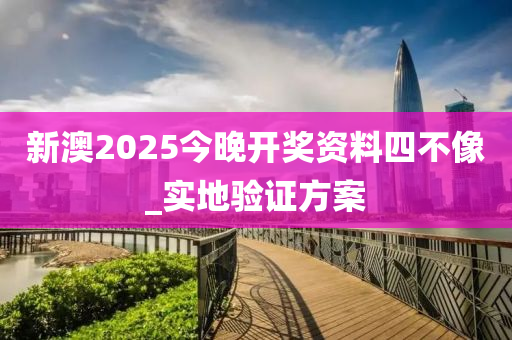 新澳2025今晚開獎資料四不像_實地驗證方案