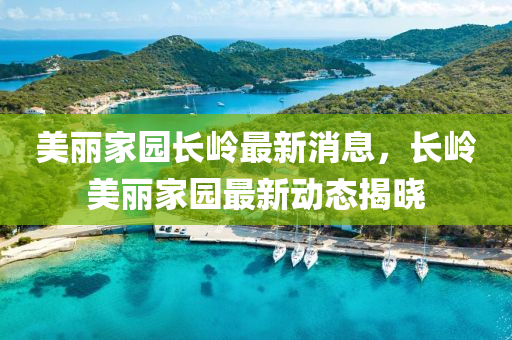 美麗家園長嶺最新消息，長嶺美麗家園最新動態(tài)揭曉