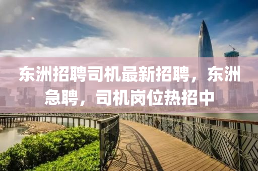 東洲招聘司機(jī)最新招聘，東洲急聘，司機(jī)崗位熱招中