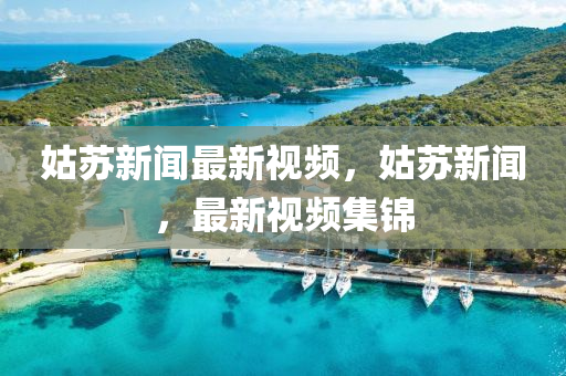 姑蘇新聞最新視頻，姑蘇新聞，最新視頻集錦