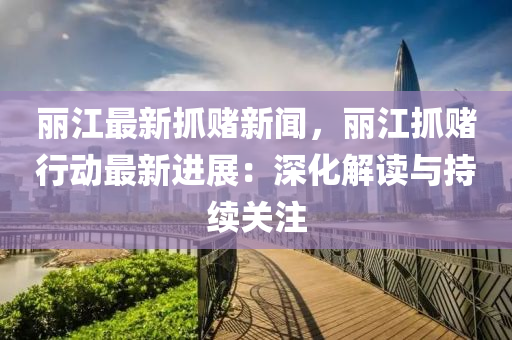麗江最新抓賭新聞，麗江抓賭行動(dòng)最新進(jìn)展：深化解讀與持續(xù)關(guān)注