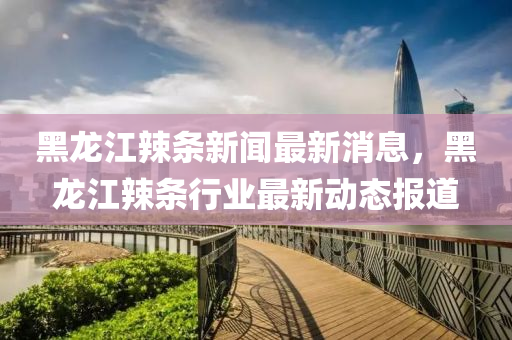 黑龍江辣條新聞最新消息，黑龍江辣條行業(yè)最新動態(tài)報道
