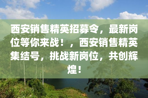 西安銷售精英招募令，最新崗位等你來戰(zhàn)！，西安銷售精英集結(jié)號，挑戰(zhàn)新崗位，共創(chuàng)輝煌！