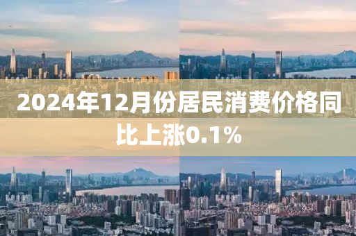 2024年12月份居民消費(fèi)價(jià)格同比上漲0.1%