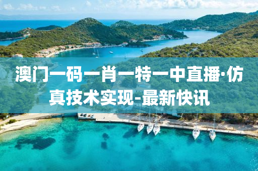 澳門一碼一肖一特一中直播·仿真技術(shù)實(shí)現(xiàn)-最新快訊