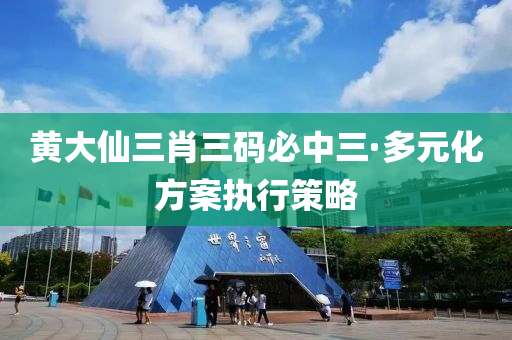 黃大仙三肖三碼必中三·多元化方案執(zhí)行策略