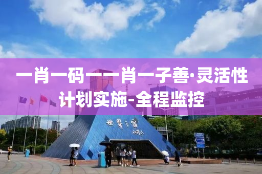 一肖一碼一一肖一子善·靈活性計(jì)劃實(shí)施-全程監(jiān)控