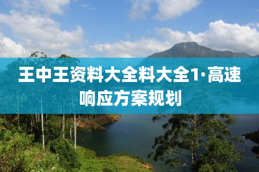 王中王資料大全料大全1·高速響應方案規(guī)劃