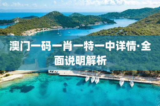 澳門一碼一肖一特一中詳情·全面說(shuō)明解析
