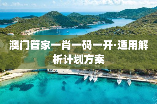 澳門管家一肖一碼一開·適用解析計(jì)劃方案