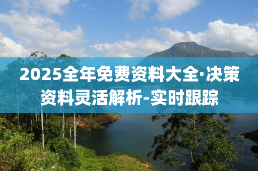 2025全年免費資料大全·決策資料靈活解析-實時跟蹤