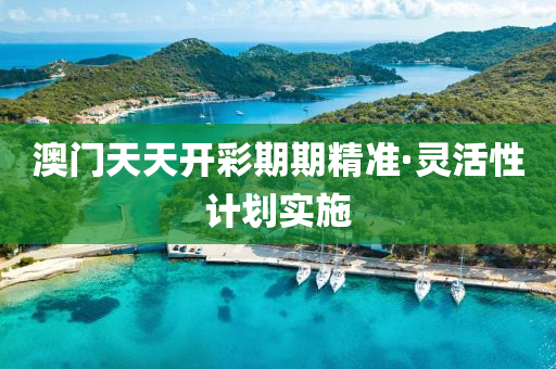 澳門(mén)天天開(kāi)彩期期精準(zhǔn)·靈活性計(jì)劃實(shí)施