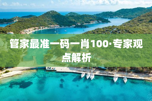 管家最準(zhǔn)一碼一肖100·專家觀點(diǎn)解析
