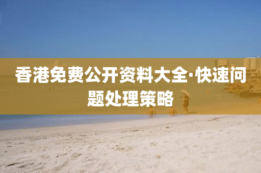 香港免費(fèi)公開資料大全·快速問題處理策略