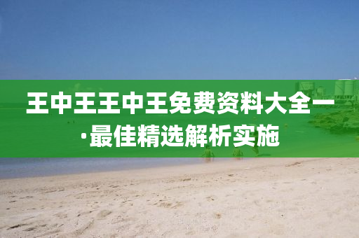 王中王王中王免費(fèi)資料大全一·最佳精選解析實(shí)施
