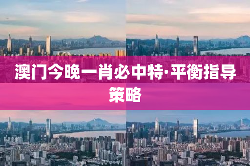 澳門今晚一肖必中特·平衡指導(dǎo)策略