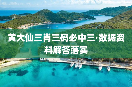 黃大仙三肖三碼必中三·數(shù)據(jù)資料解答落實(shí)