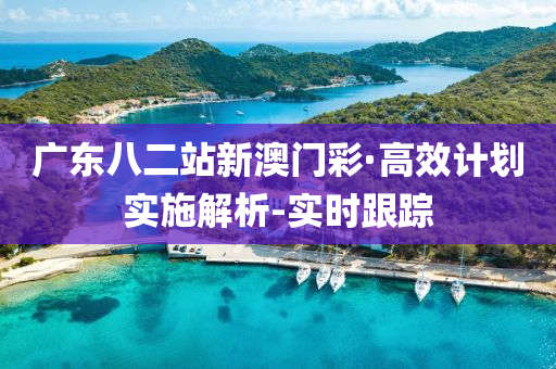 廣東八二站新澳門彩·高效計(jì)劃實(shí)施解析-實(shí)時(shí)跟蹤