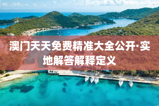 澳門天天免費(fèi)精準(zhǔn)大全公開·實(shí)地解答解釋定義