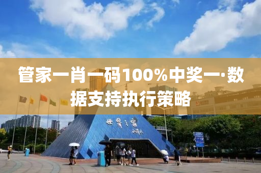 管家一肖一碼100%中獎(jiǎng)一·數(shù)據(jù)支持執(zhí)行策略