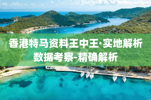 香港特馬資料王中王·實地解析數(shù)據(jù)考察-精確解析