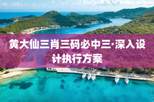 黃大仙三肖三碼必中三·深入設計執(zhí)行方案