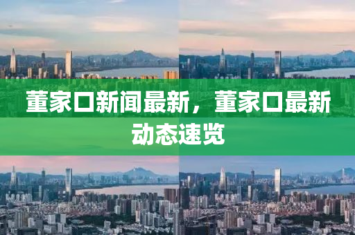 董家口新聞最新，董家口最新動(dòng)態(tài)速覽