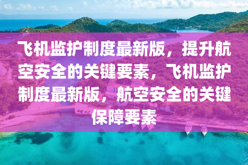 飛機(jī)監(jiān)護(hù)制度最新版，提升航空安全的關(guān)鍵要素，飛機(jī)監(jiān)護(hù)制度最新版，航空安全的關(guān)鍵保障要素