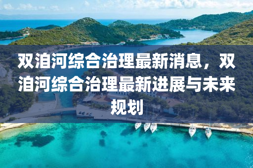 雙洎河綜合治理最新消息，雙洎河綜合治理最新進展與未來規(guī)劃