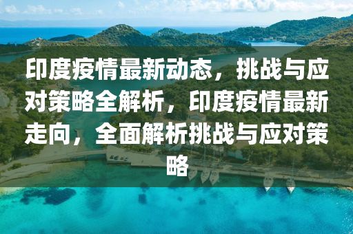 印度疫情最新動態(tài)，挑戰(zhàn)與應對策略全解析，印度疫情最新走向，全面解析挑戰(zhàn)與應對策略